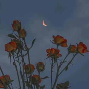 暖暖日本免费中文字幕
